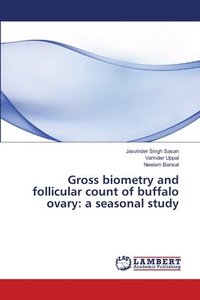 bokomslag Gross biometry and follicular count of buffalo ovary