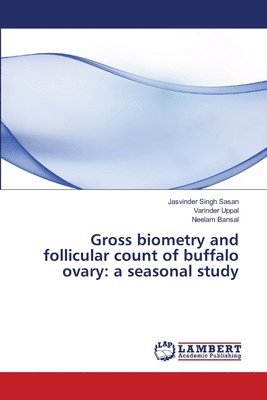 bokomslag Gross biometry and follicular count of buffalo ovary