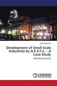 bokomslag Development of Small Scale Industries by A.P.S.F.C. - A Case Study