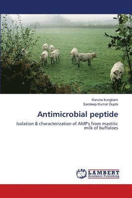 Antimicrobial peptide 1