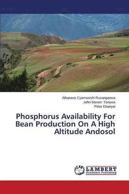 Phosphorus Availability For Bean Production On A High Altitude Andosol 1