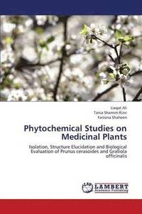 bokomslag Phytochemical Studies on Medicinal Plants