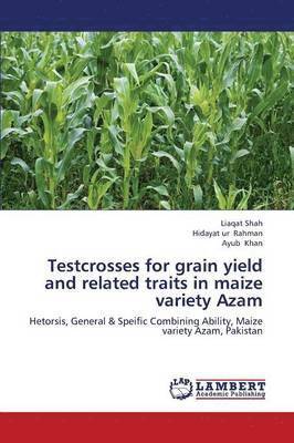 bokomslag Testcrosses for Grain Yield and Related Traits in Maize Variety Azam