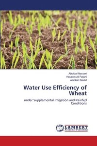 bokomslag Water Use Efficiency of Wheat