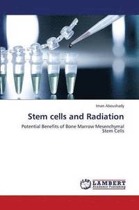 bokomslag Stem Cells and Radiation