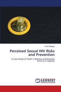 bokomslag Perceived Sexual HIV Risks and Prevention