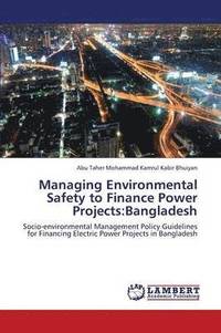 bokomslag Managing Environmental Safety to Finance Power Projects