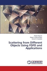 bokomslag Scattering from Different Objects Using FDFD and Applications