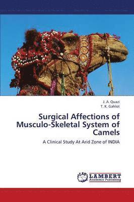 bokomslag Surgical Affections of Musculo-Skeletal System of Camels