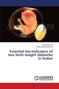 bokomslag Essential bio-indicators of low birth weight deliveries in Sudan