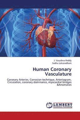 Human Coronary Vasculature 1