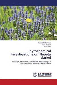 bokomslag Phytochemical Investigations on Nepeta clarkei