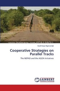 bokomslag Cooperative Strategies on Parallel Tracks