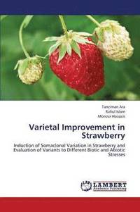bokomslag Varietal Improvement in Strawberry