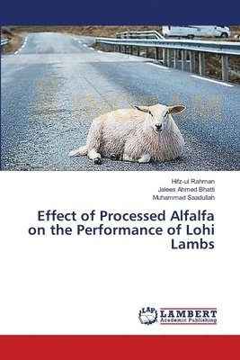 Effect of Processed Alfalfa on the Performance of Lohi Lambs 1