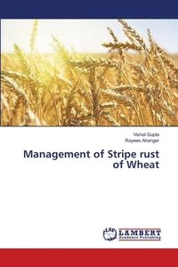 bokomslag Management of Stripe rust of Wheat