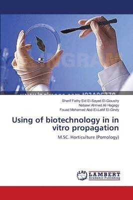 Using of biotechnology in in vitro propagation 1