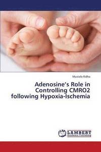 bokomslag Adenosine's Role in Controlling Cmro2 Following Hypoxia-Ischemia