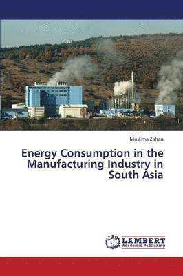 Energy Consumption in the Manufacturing Industry in South Asia 1