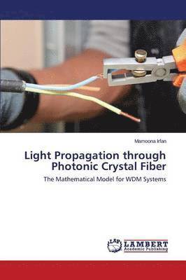 bokomslag Light Propagation through Photonic Crystal Fiber