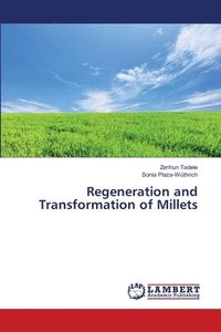 bokomslag Regeneration and Transformation of Millets