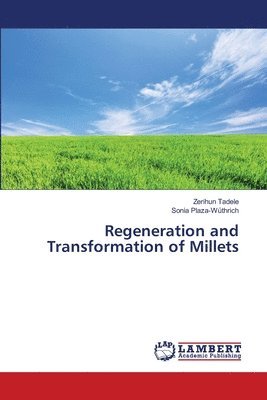 Regeneration and Transformation of Millets 1