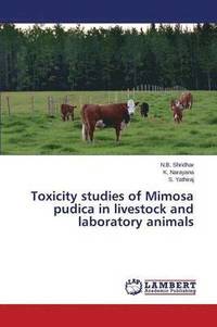 bokomslag Toxicity studies of Mimosa pudica in livestock and laboratory animals