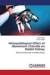 bokomslag Histopathlogical Effect of Aluminium Chloride on Rabbit Kidney