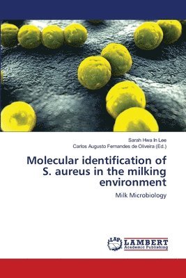 bokomslag Molecular identification of S. aureus in the milking environment