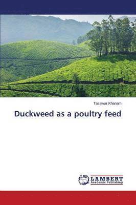 Duckweed as a poultry feed 1