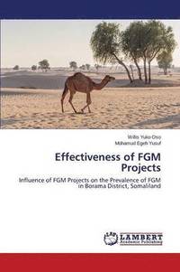 bokomslag Effectiveness of FGM Projects