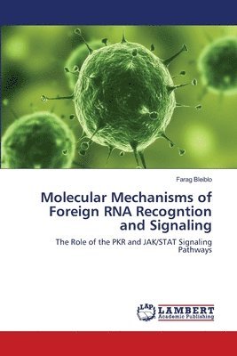 bokomslag Molecular Mechanisms of Foreign RNA Recogntion and Signaling