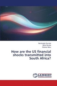 bokomslag How are the US financial shocks transmitted into South Africa?