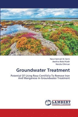 bokomslag Groundwater Treatment