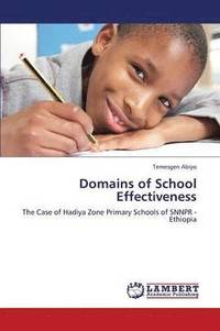 bokomslag Domains of School Effectiveness