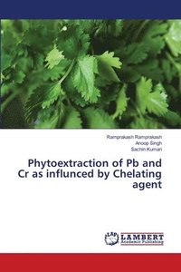 bokomslag Phytoextraction of Pb and Cr as influnced by Chelating agent