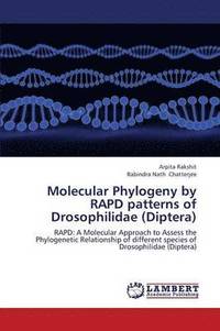 bokomslag Molecular Phylogeny by Rapd Patterns of Drosophilidae (Diptera)