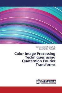 bokomslag Color Image Processing Techniques Using Quaternion Fourier Transforms