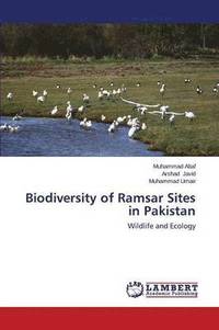 bokomslag Biodiversity of Ramsar Sites in Pakistan
