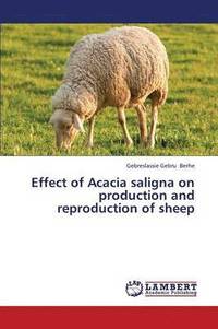 bokomslag Effect of Acacia Saligna on Production and Reproduction of Sheep