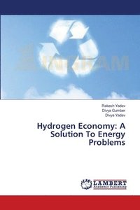 bokomslag Hydrogen Economy