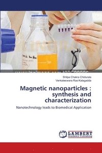 bokomslag Magnetic nanoparticles