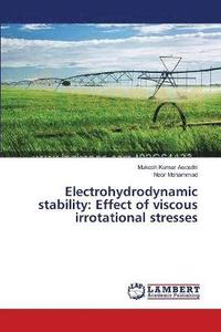 bokomslag Electrohydrodynamic stability