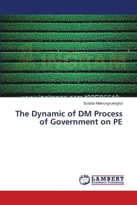 The Dynamic of DM Process of Government on PE 1