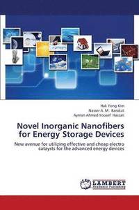 bokomslag Novel Inorganic Nanofibers for Energy Storage Devices