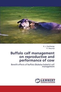 bokomslag Buffalo calf management on reproductive and performance of cow