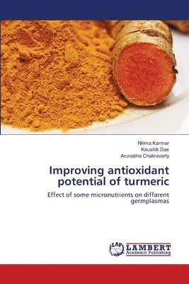 Improving antioxidant potential of turmeric 1