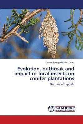 Evolution, outbreak and impact of local insects on conifer plantations 1