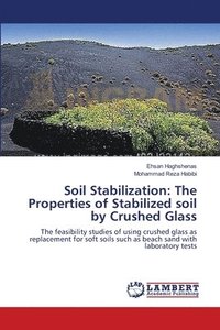 bokomslag Soil Stabilization