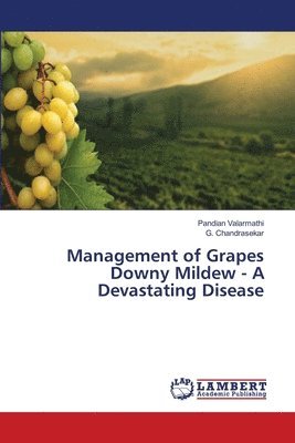 Management of Grapes Downy Mildew - A Devastating Disease 1